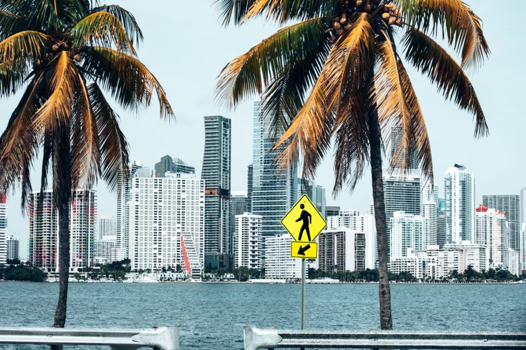 palm trees near building